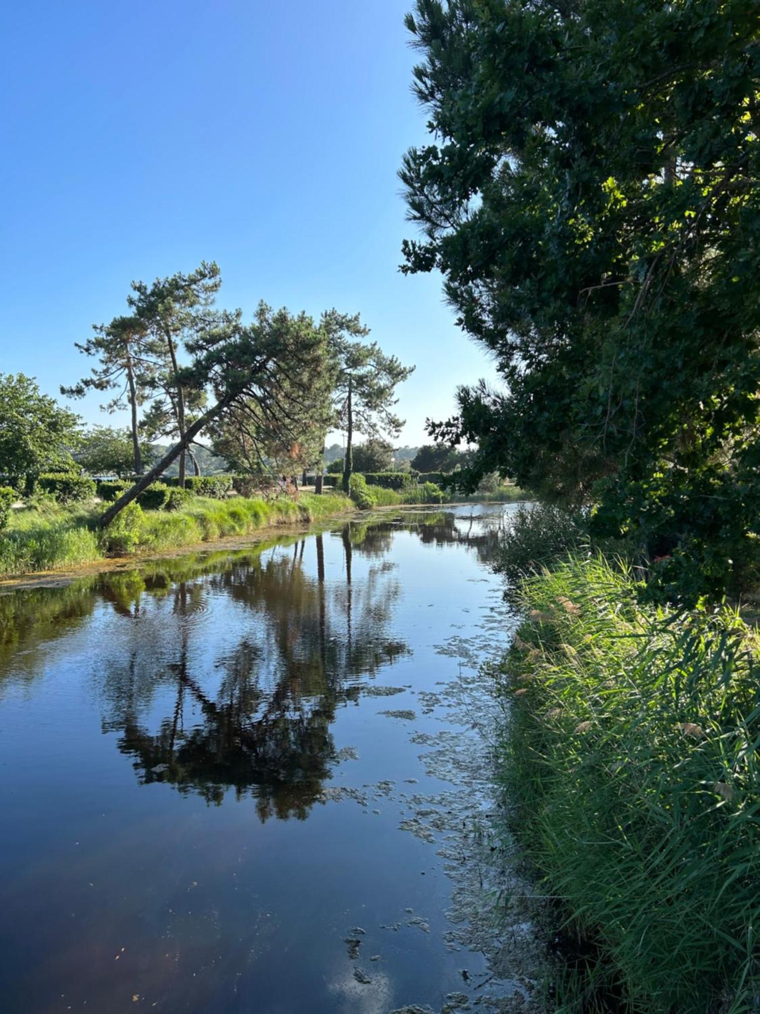 Les Viviers Chez So Claouey Campingplatz Lège-Cap-Ferret