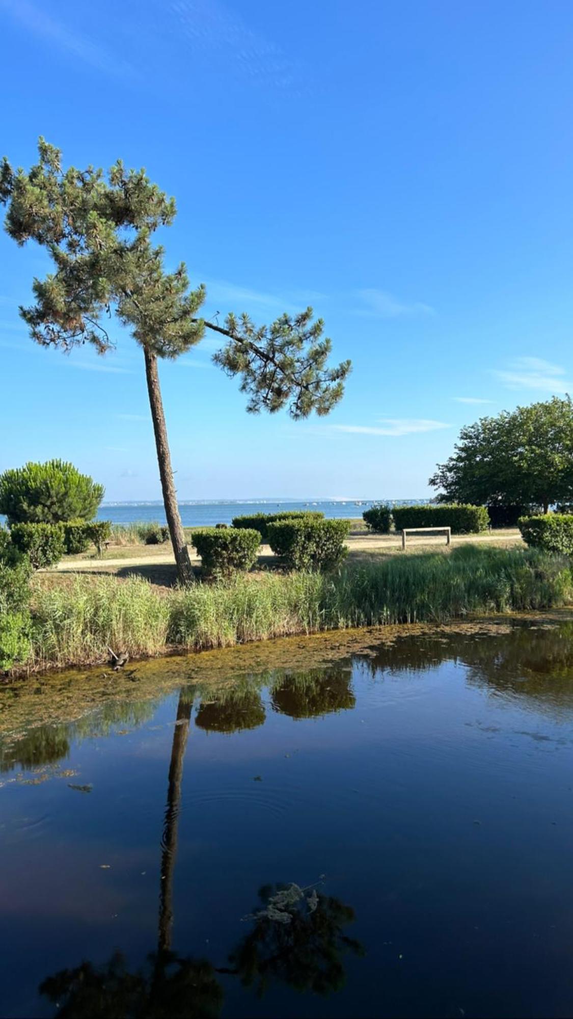 Les Viviers Chez So Claouey Campingplatz
